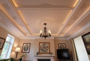 Specialized Ceiling Plasterers Overview