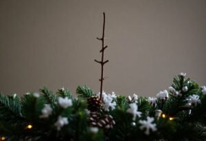 Reviving your dead Christmas tree