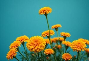 Marigolds: How Long Do They Last?