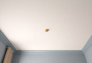 Paint Finish for Ceiling